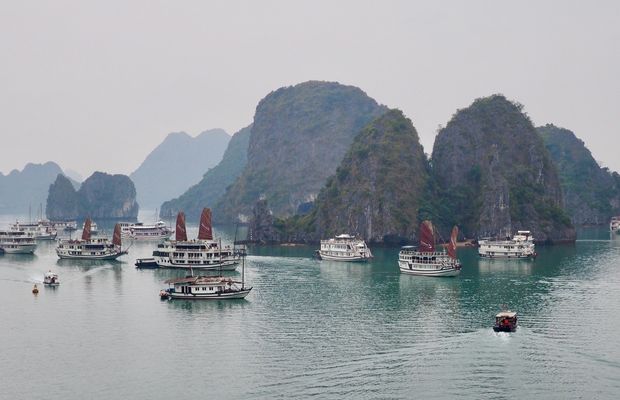 Halong Bay is crowded with cruises